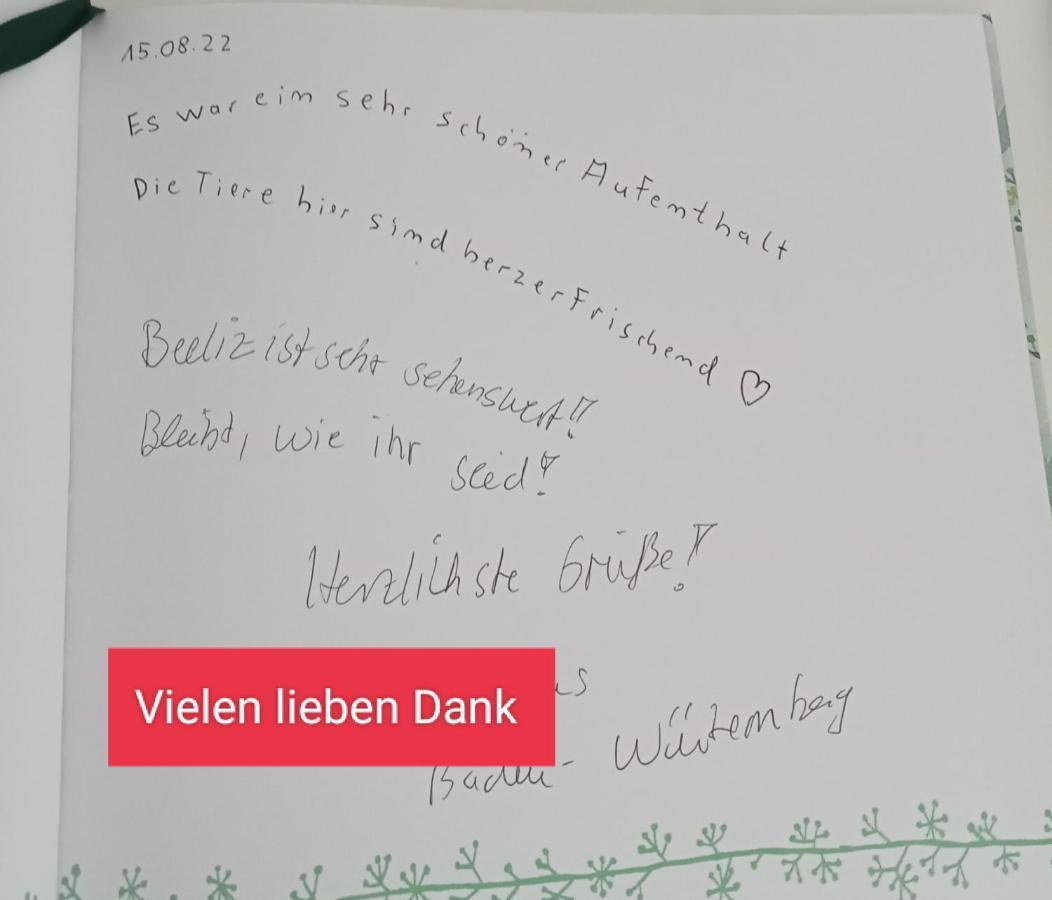 Ferienzimmer Waldzauber Borkwalde 외부 사진